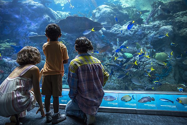 Aquarium of the Pacific