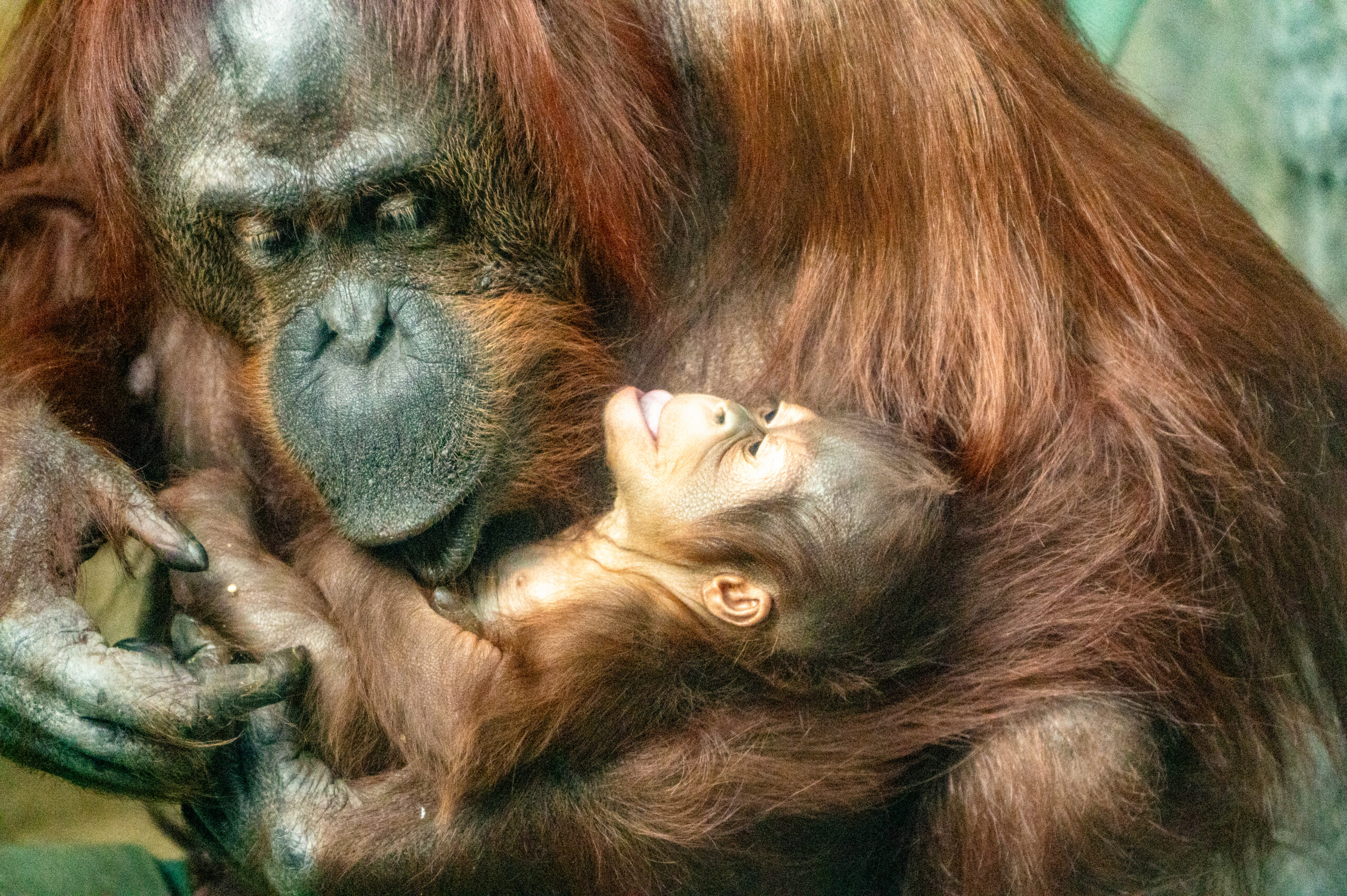 Los Angeles Zoo & Botanical Gardens