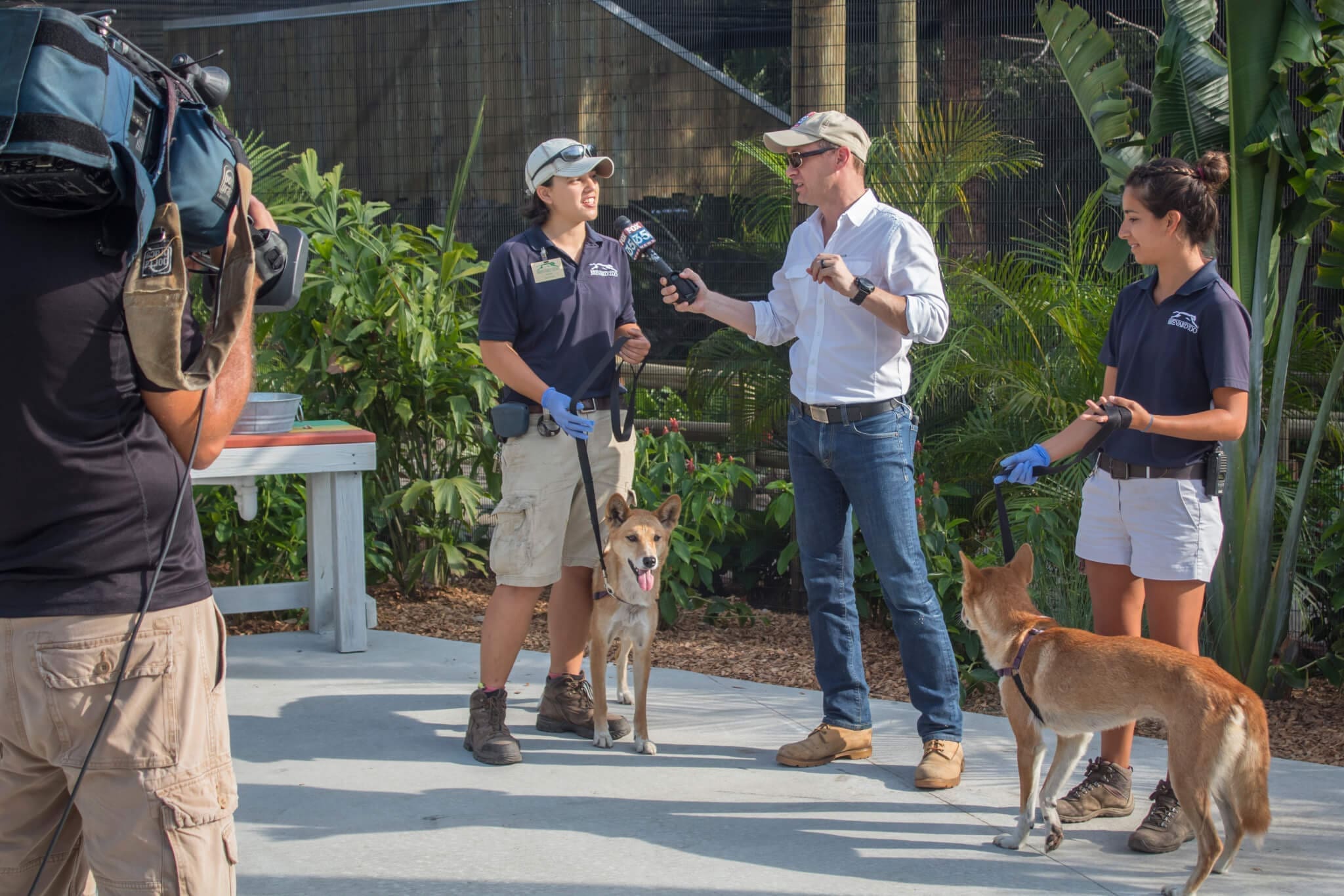 Brevard Zoo