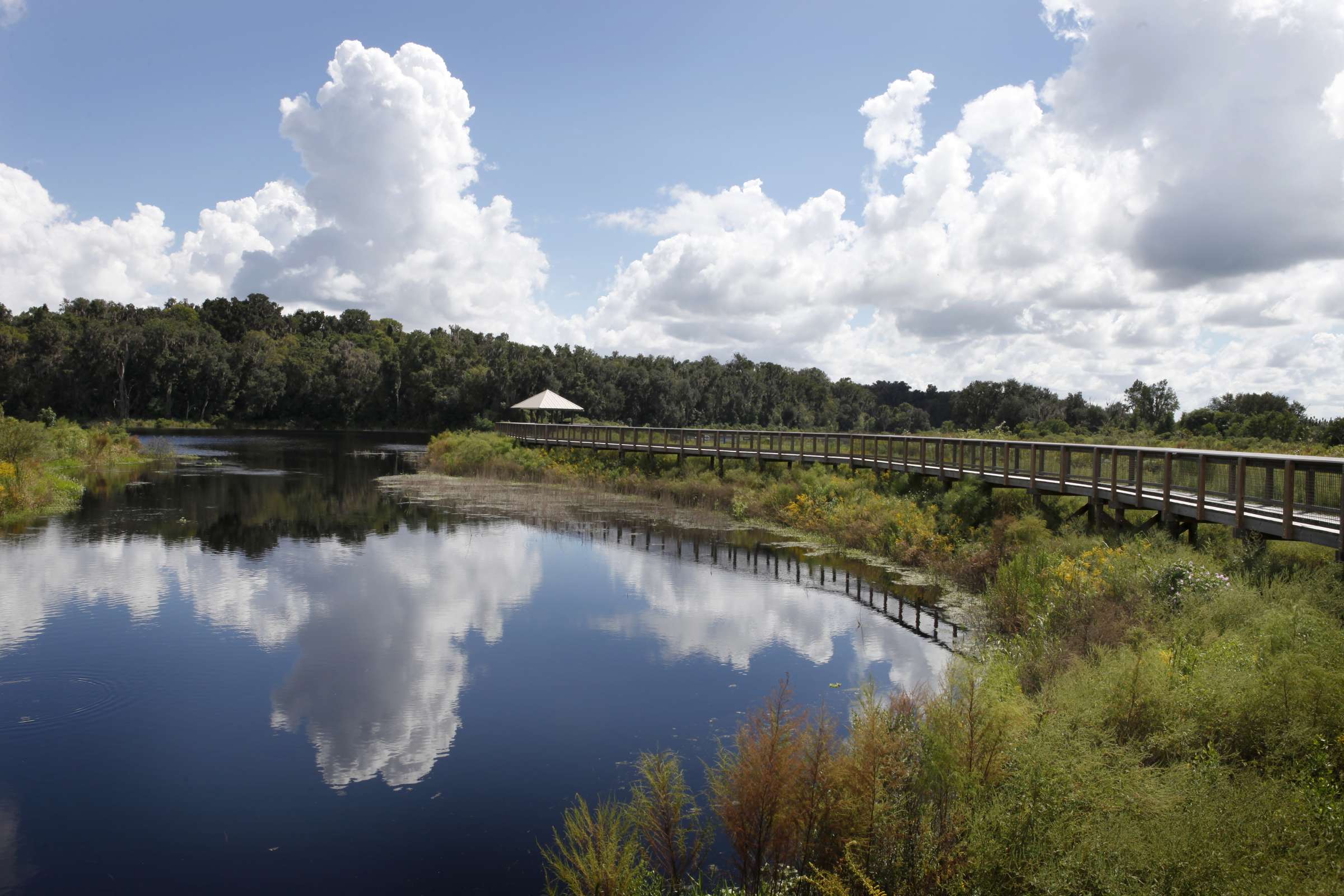 Micanopy