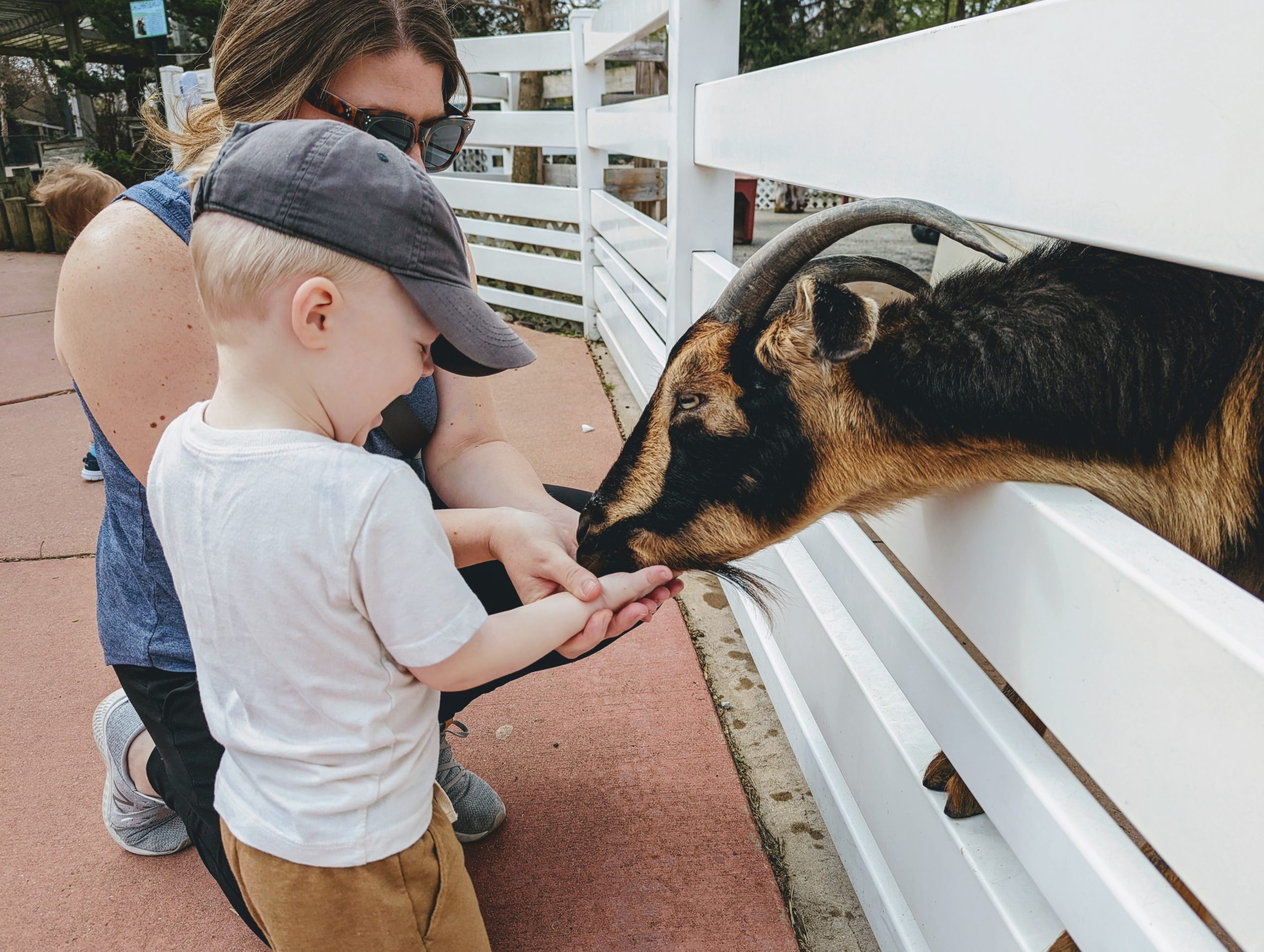 Miller Park Zoo