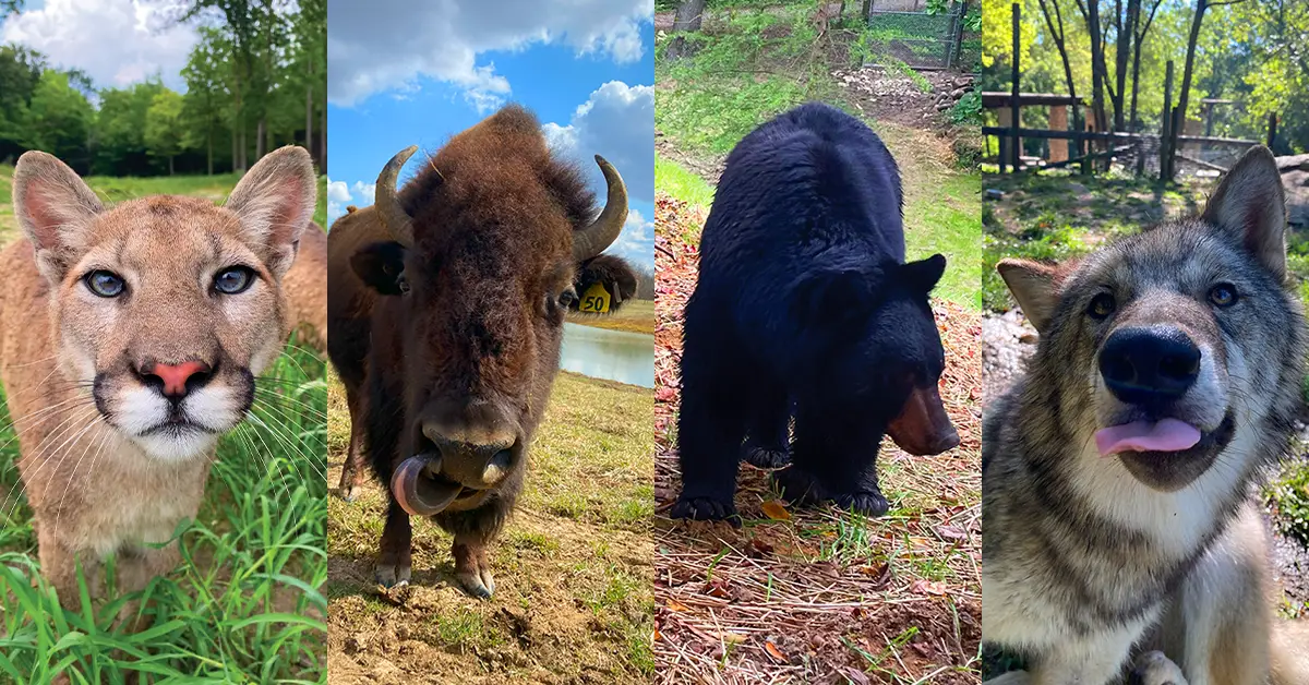 Wildlife Prairie Park