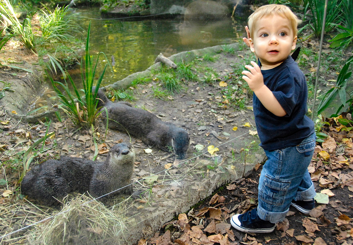 Prospect Park Zoo