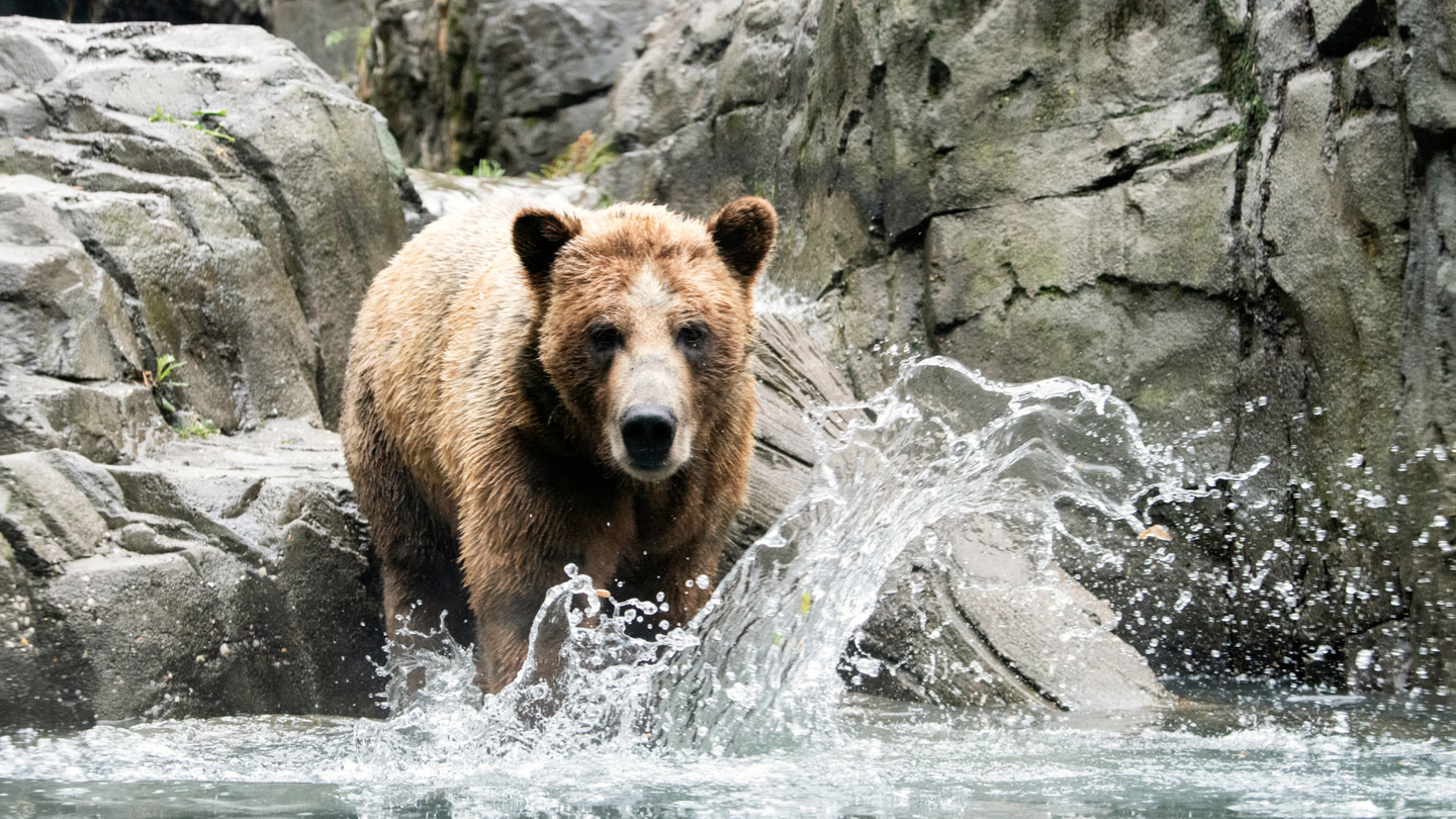 Central Park Zoo