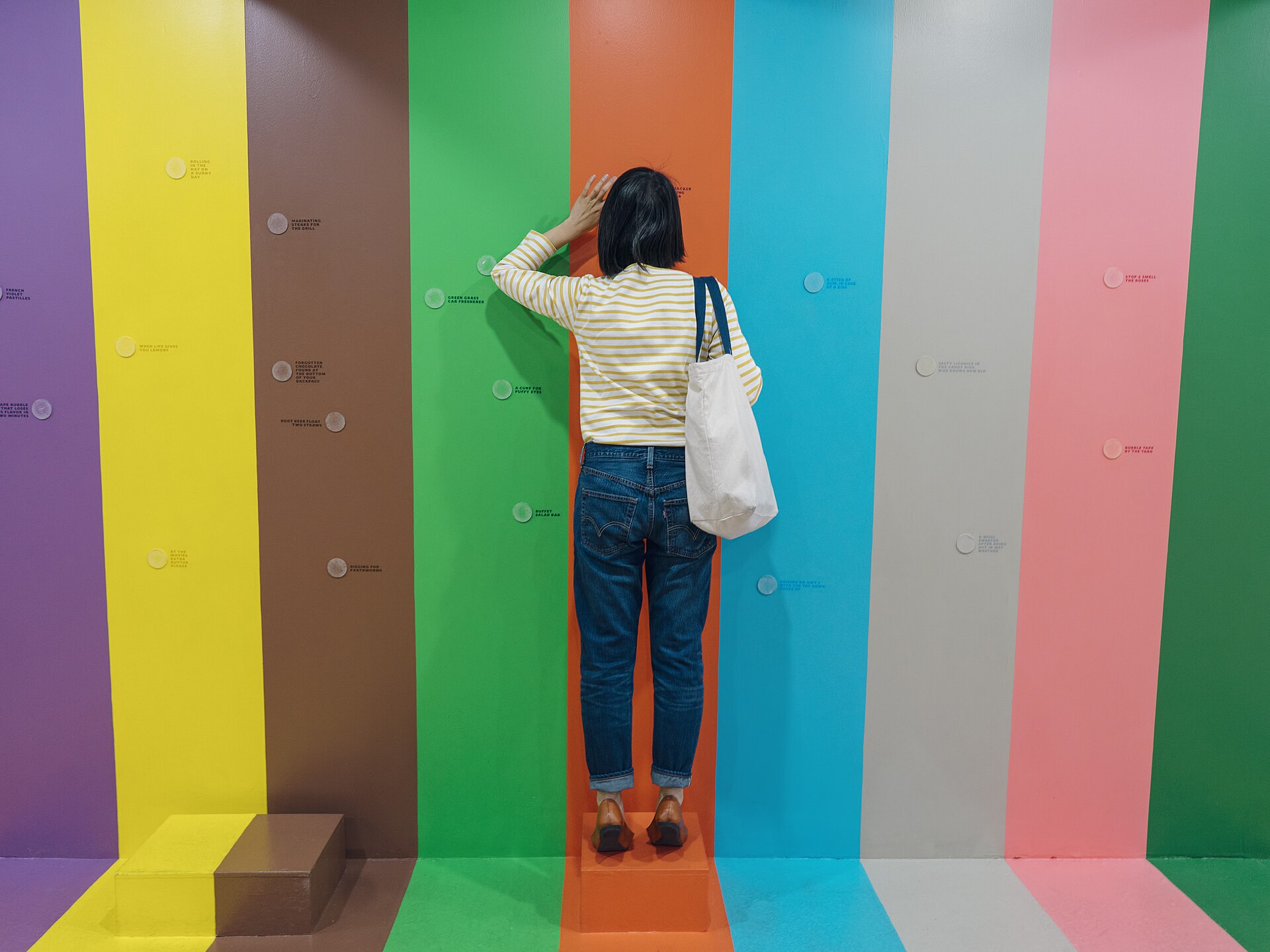 Color Factory New York