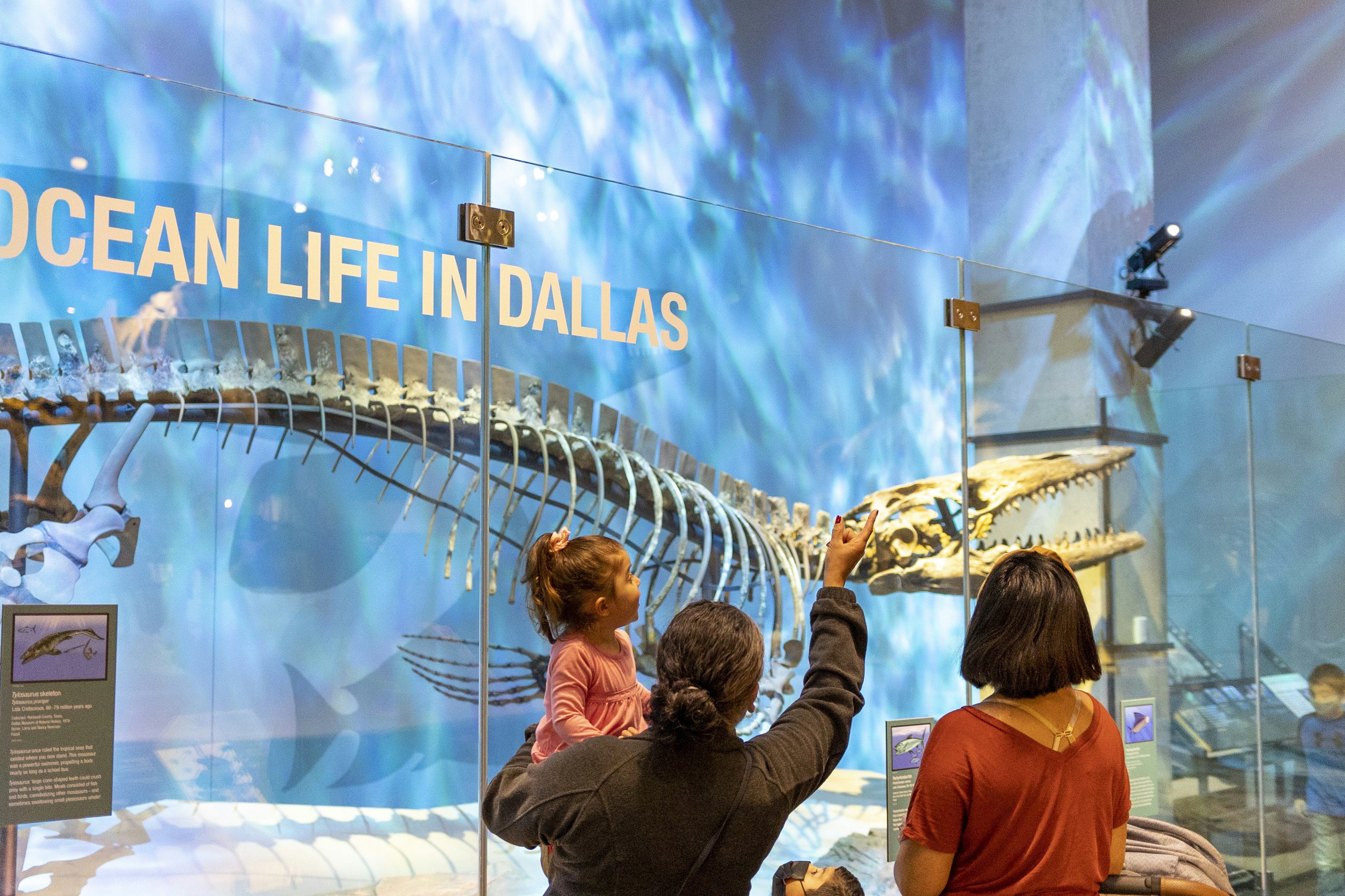 Perot Museum of Nature and Science