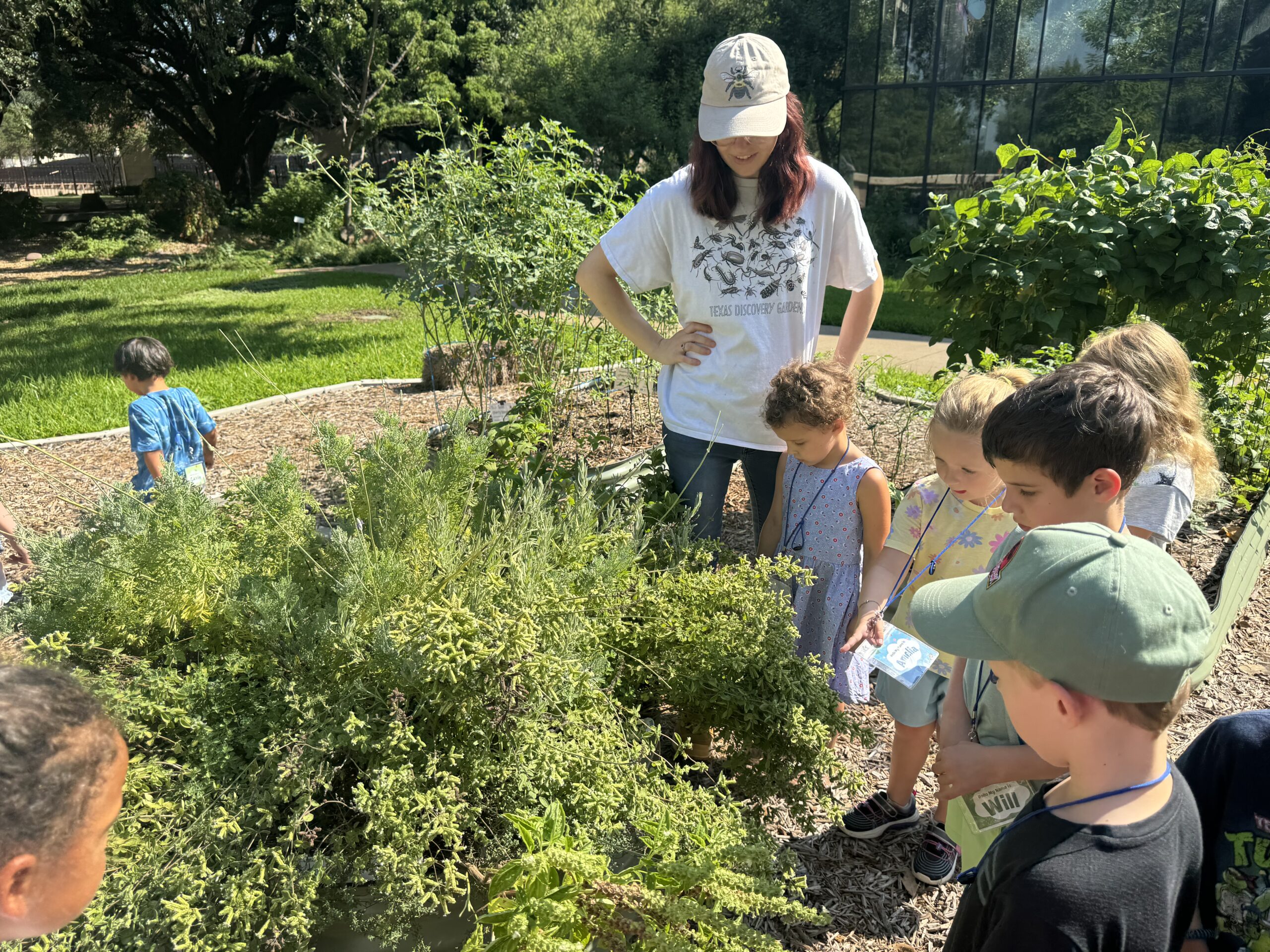 Texas Discovery Gardens