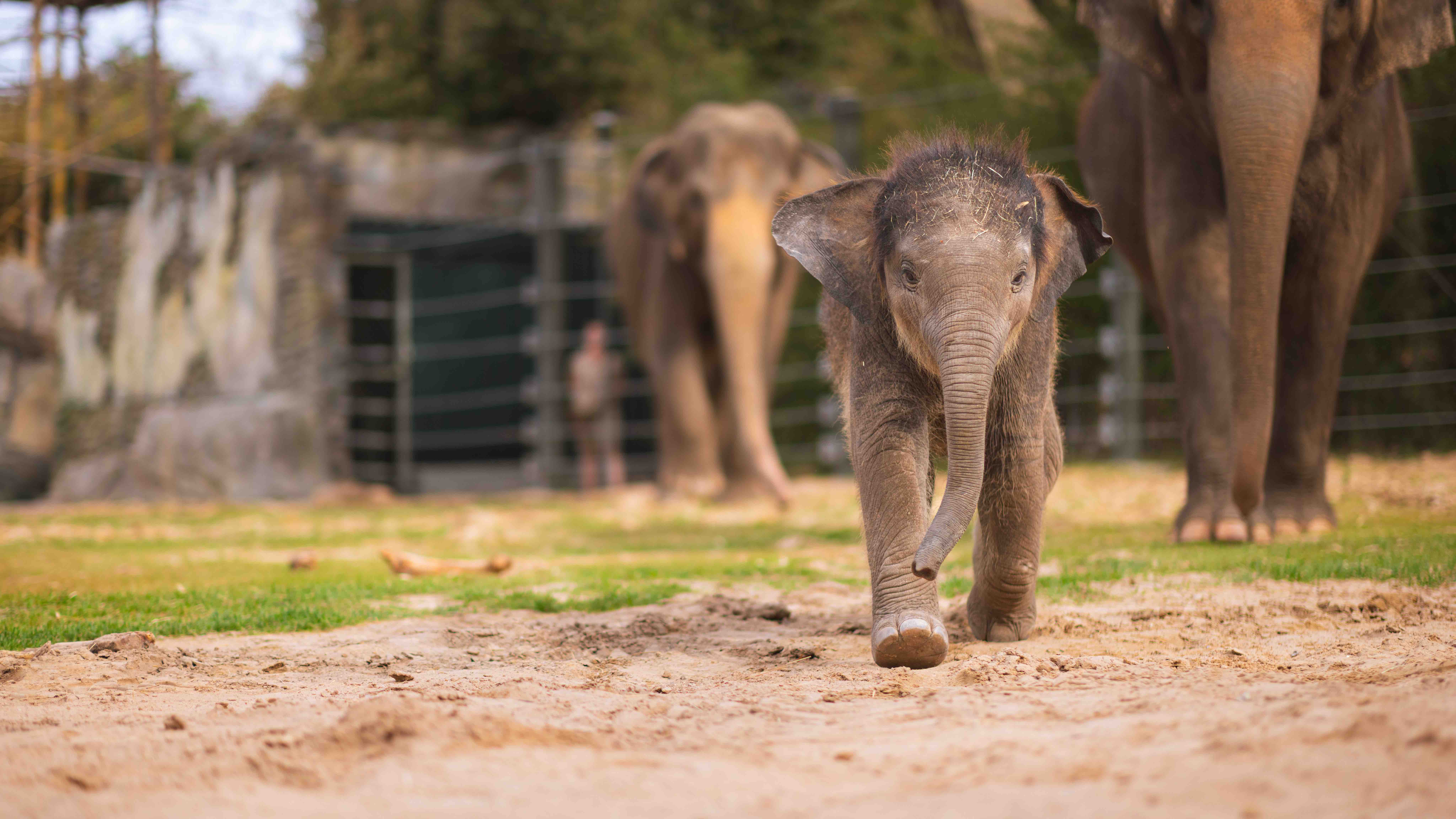 Fort Worth Zoo