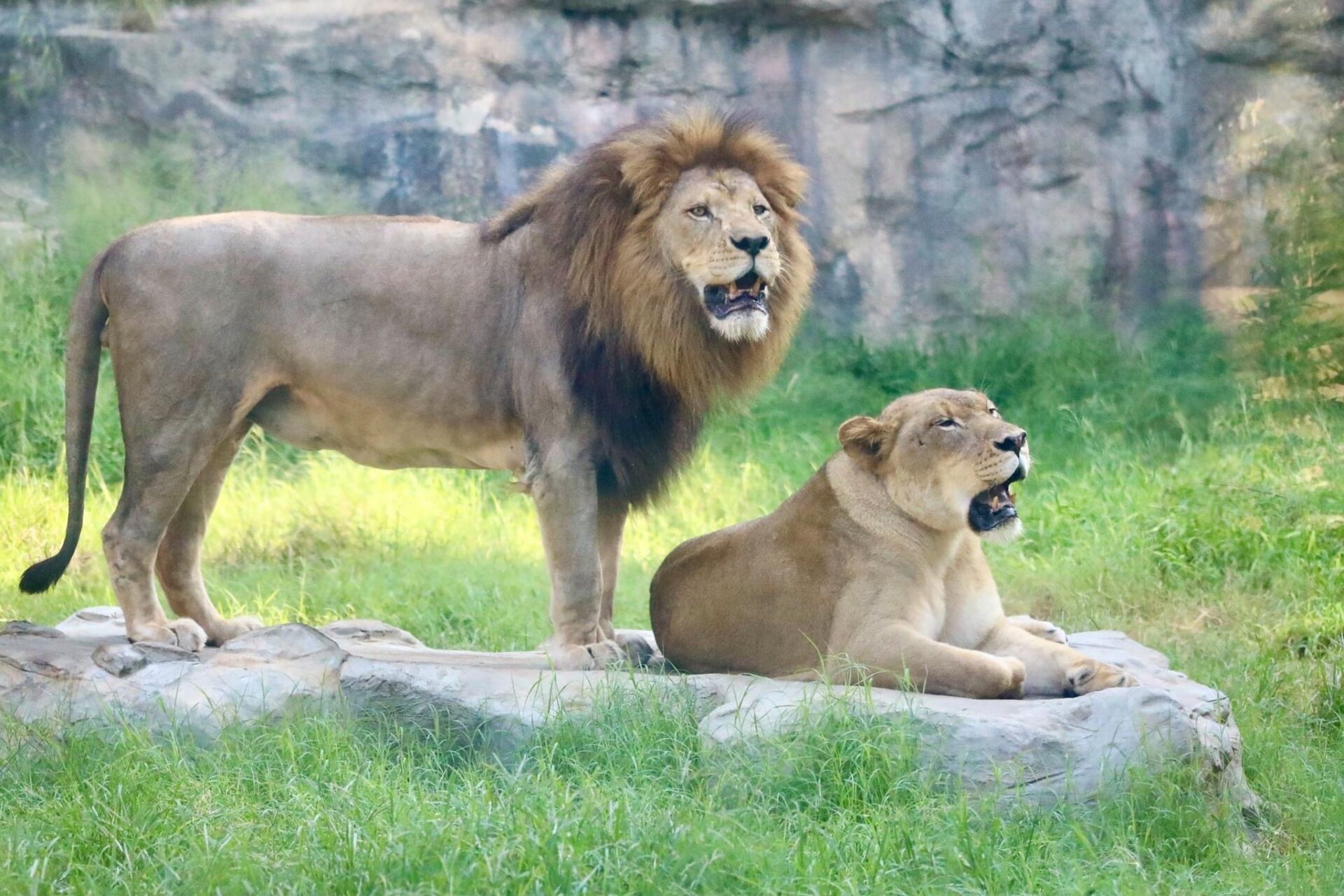 San Antonio Zoo