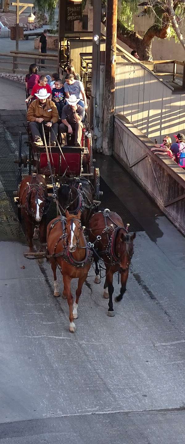 Knott's Berry Farm in Buena Park, California