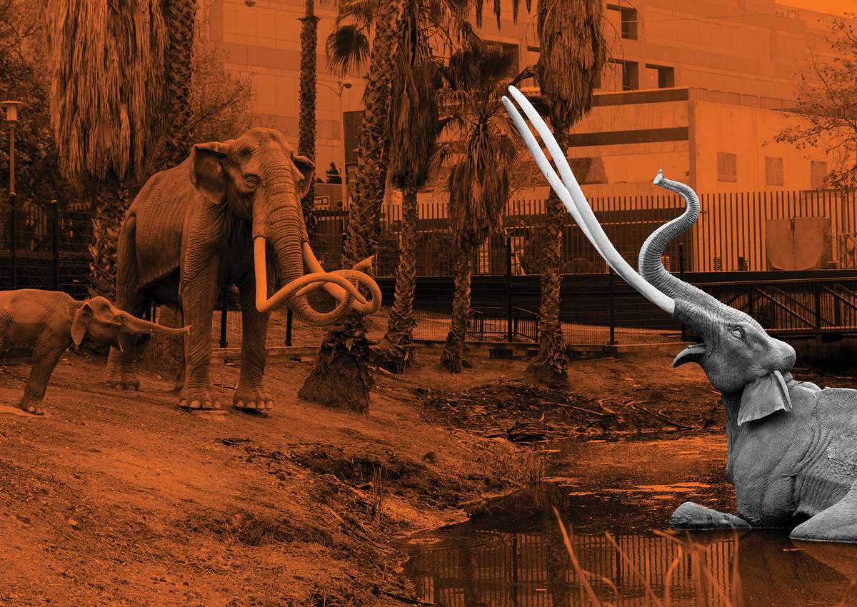 La Brea Tar Pits and Museum