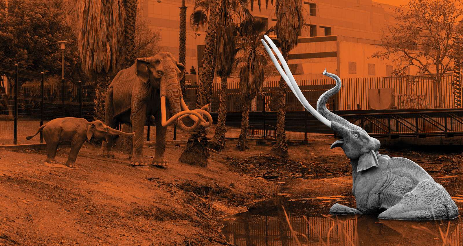 La Brea Tar Pits and Museum