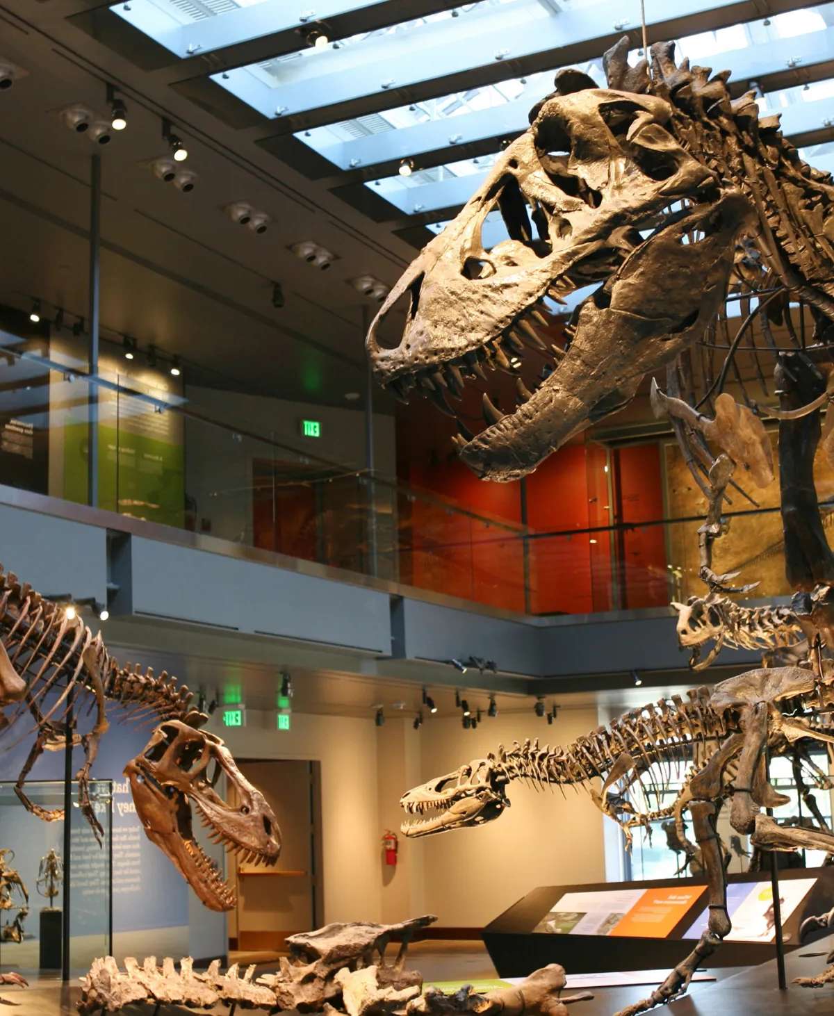Natural History Museum of Los Angeles County