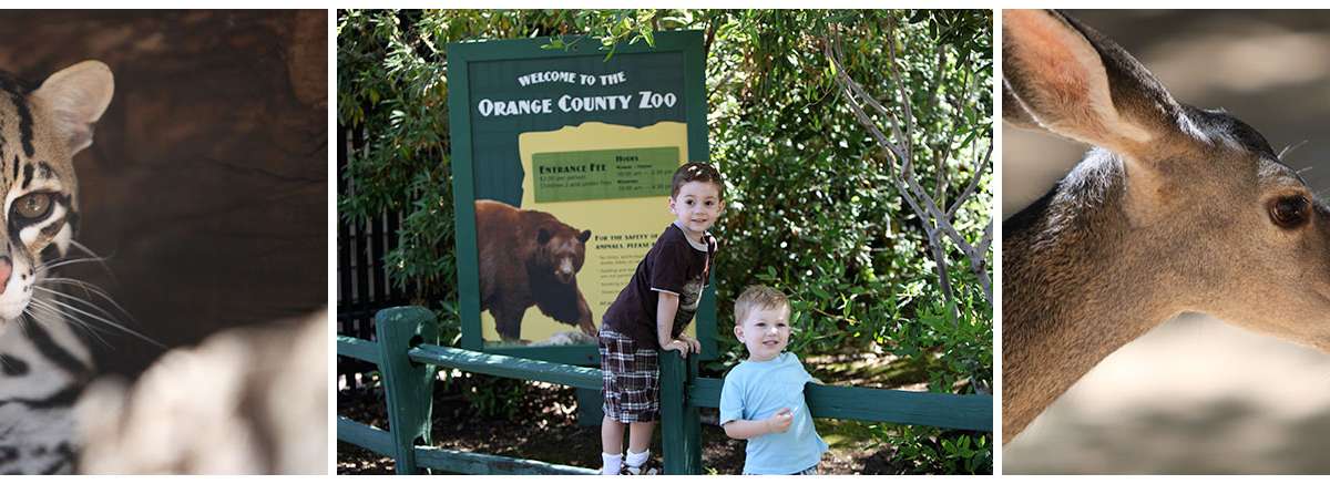 Orange County Zoo (Irvine Regional Park)