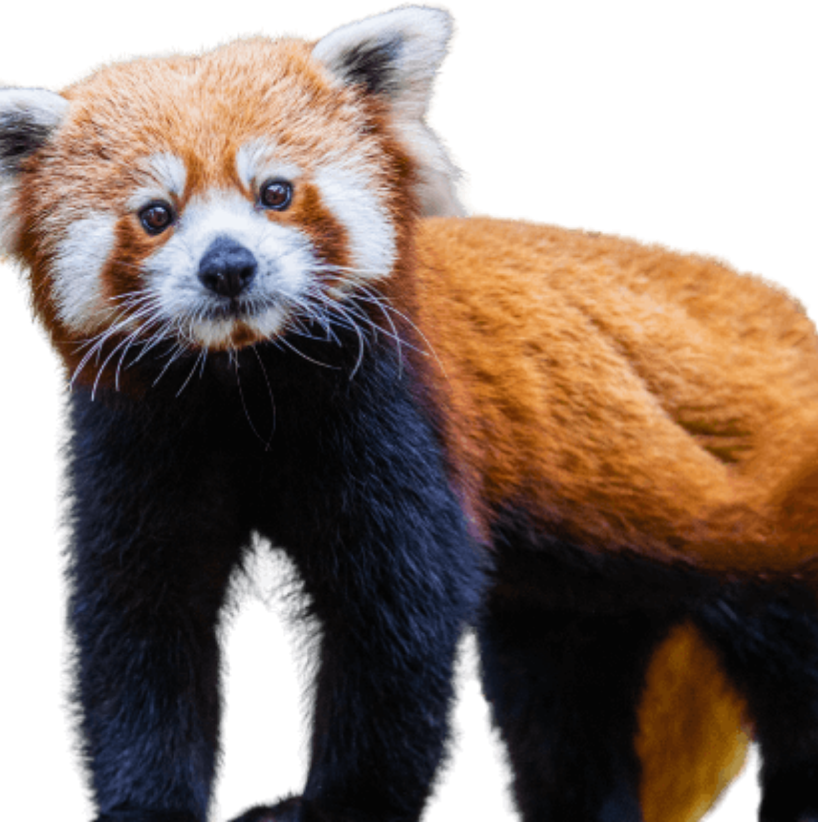 Santa Barbara Zoo