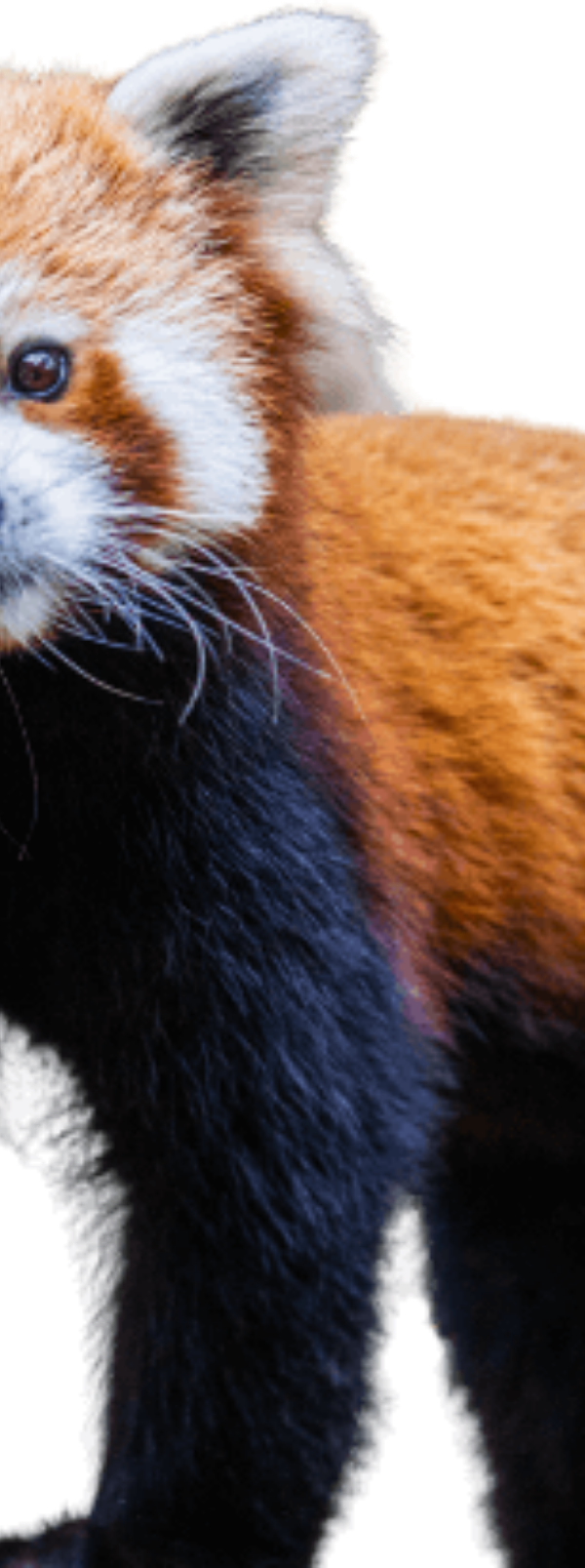 Santa Barbara Zoo in Santa Barbara, California