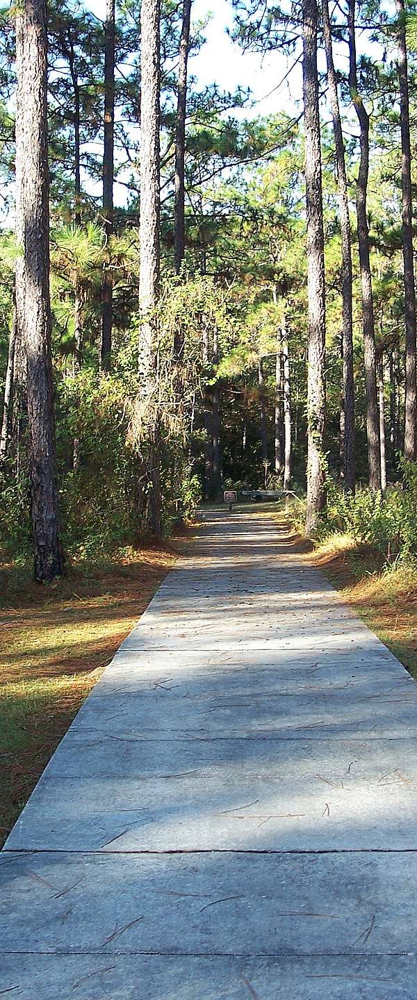 Falling Waters State Park in Chipley, Florida