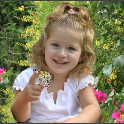 Butterfly World