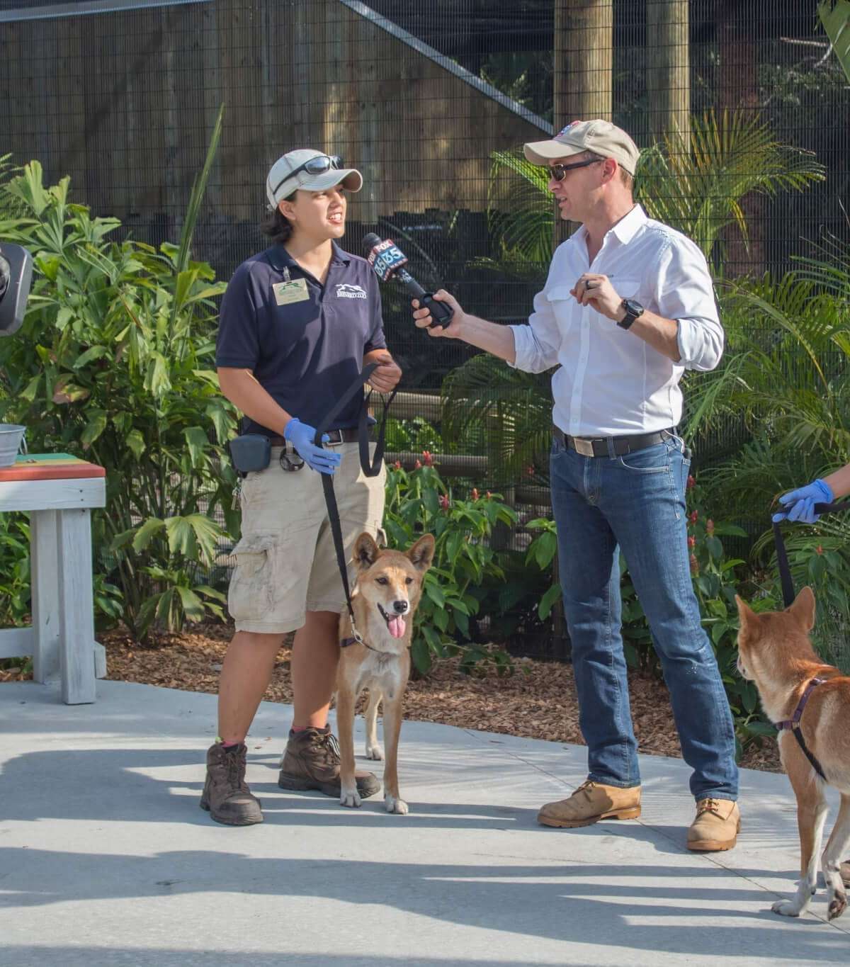 Brevard Zoo
