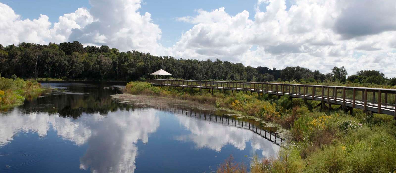 Micanopy