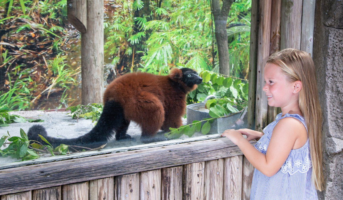 Naples Zoo at Caribbean Gardens