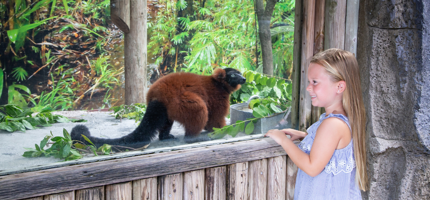 Naples Zoo at Caribbean Gardens