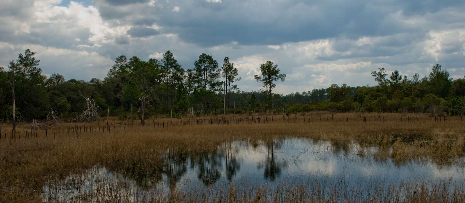 Ocala