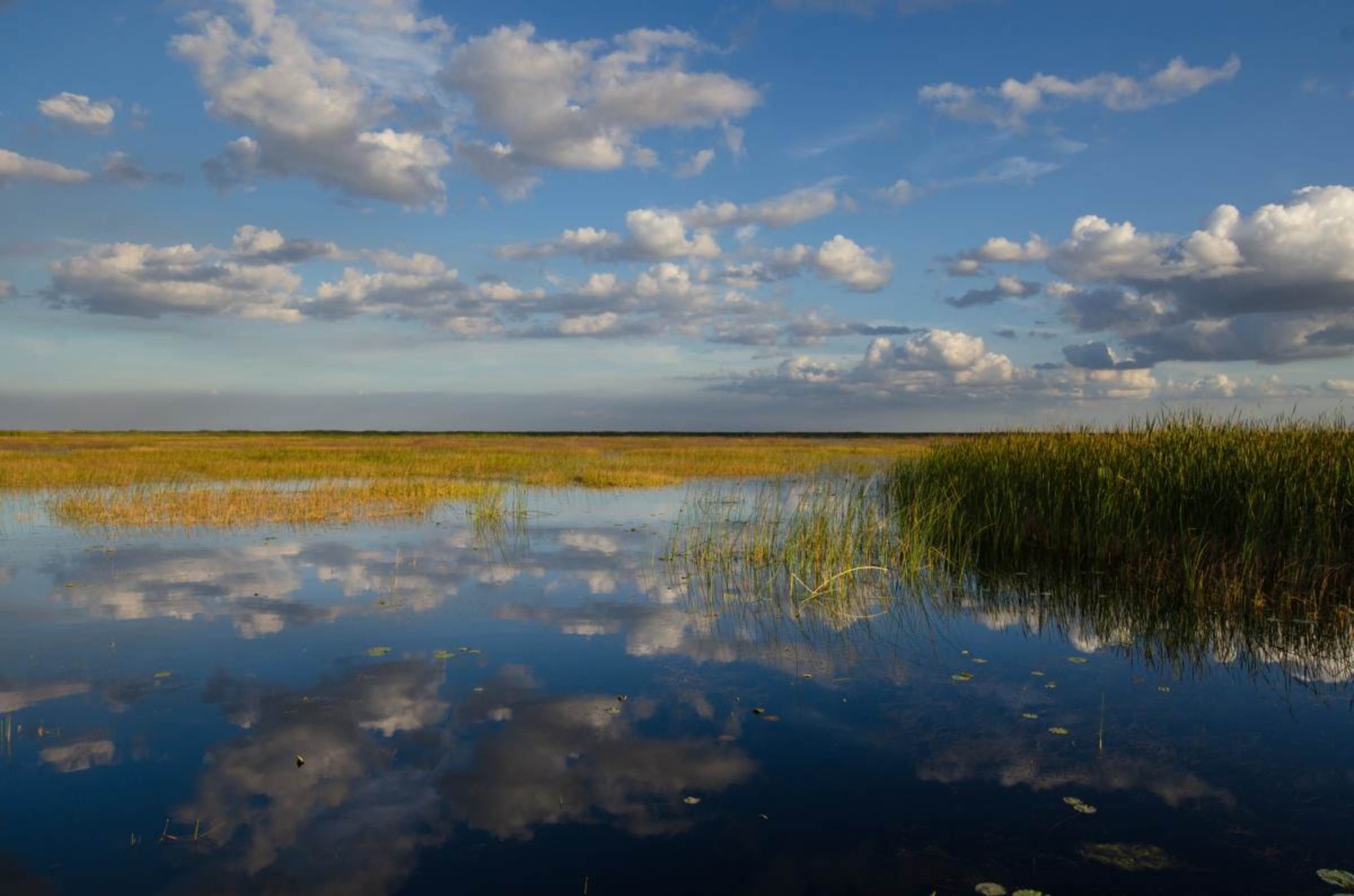 Okeechobee
