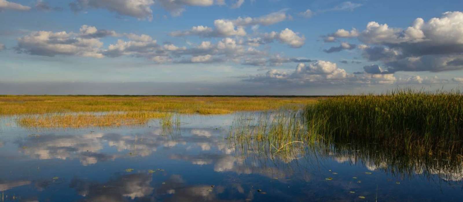 Okeechobee
