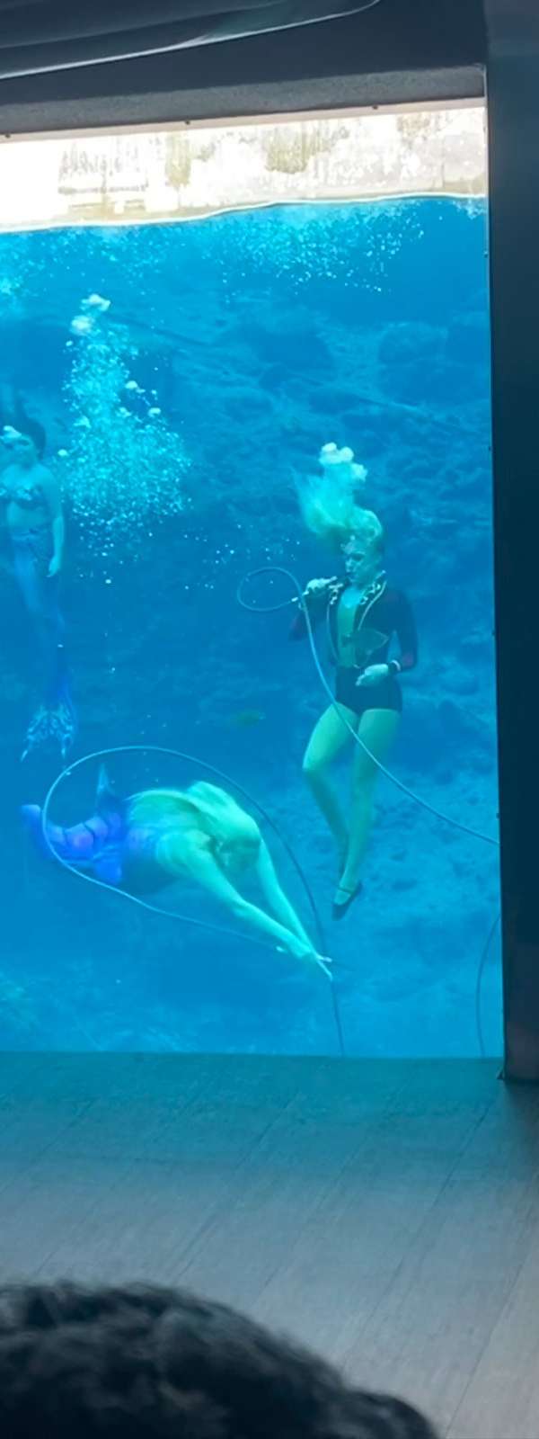 Weeki Wachee Springs State Park in Spring Hill, Florida