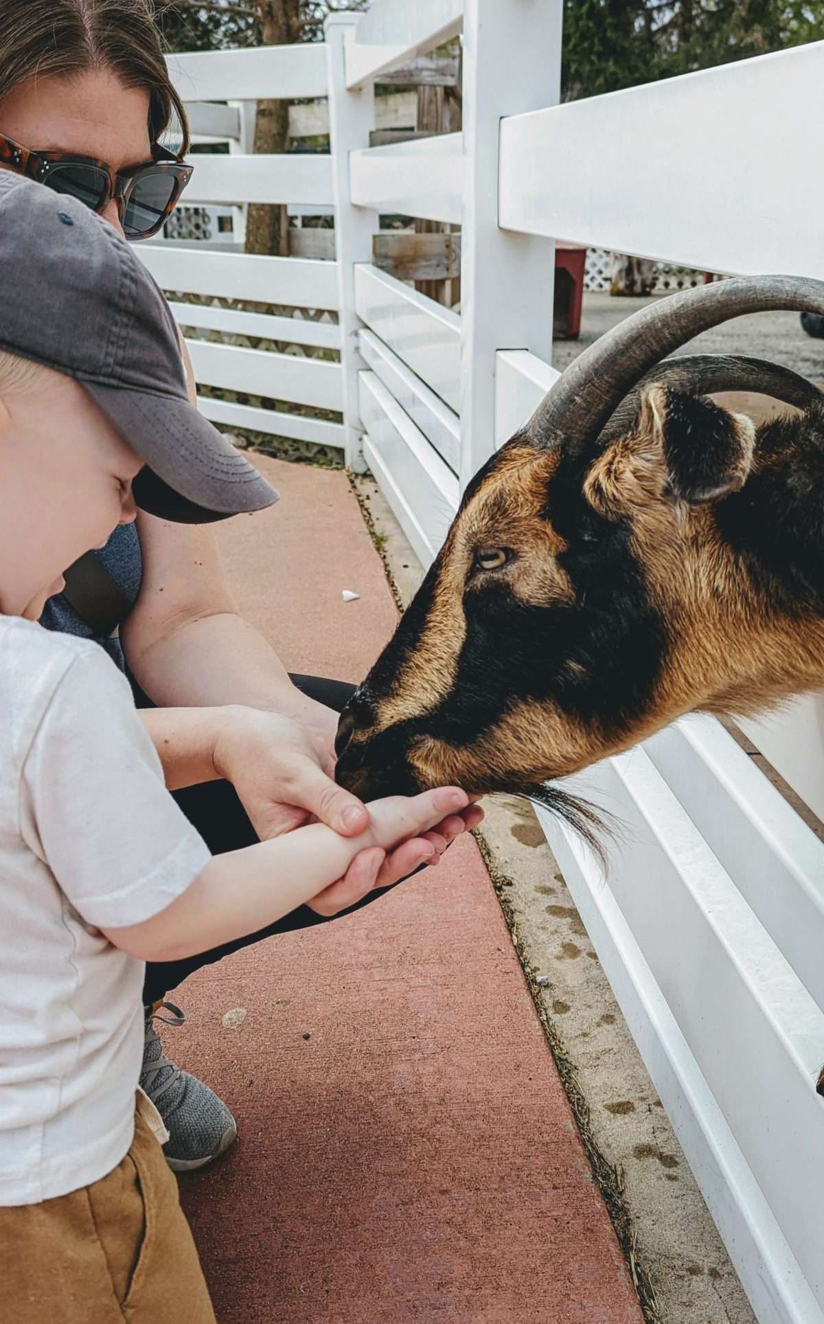 Miller Park Zoo