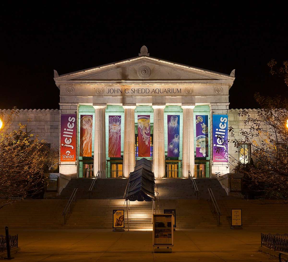 Shedd Aquarium