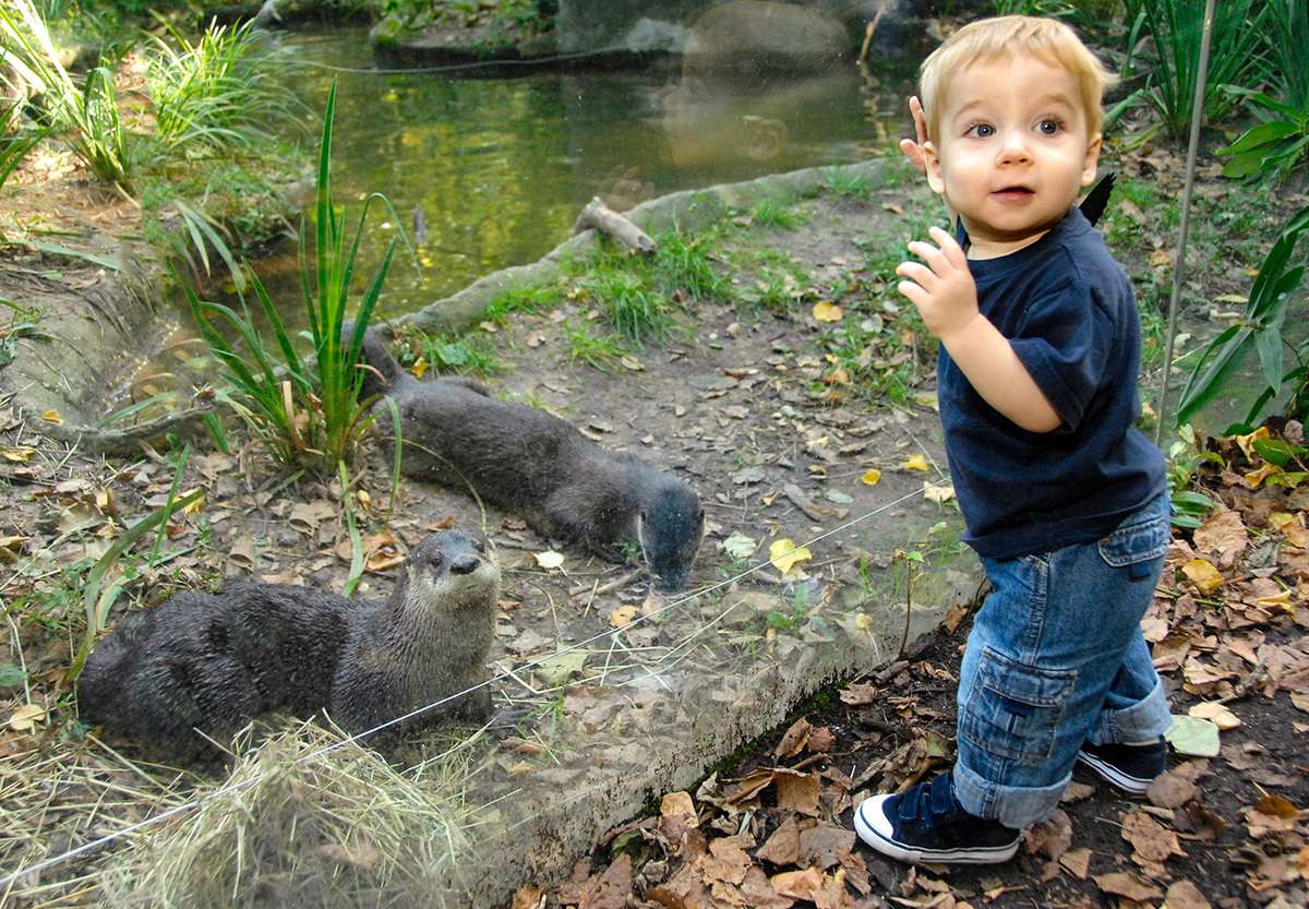 Prospect Park Zoo