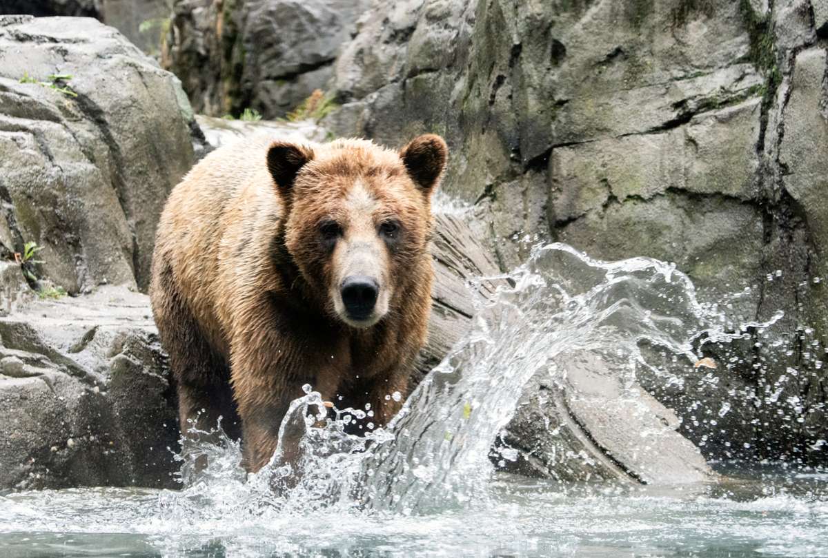 Central Park Zoo