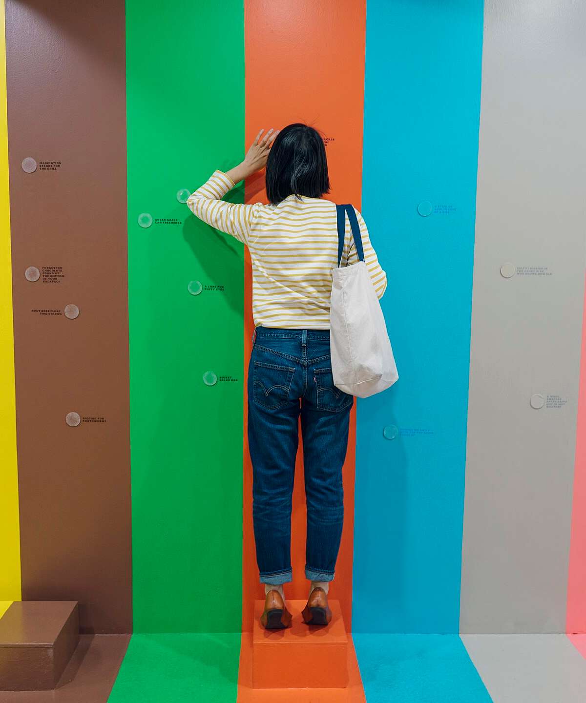 Color Factory New York