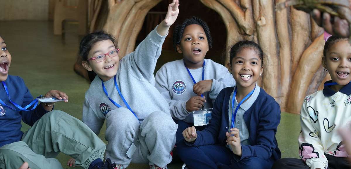 Bronx Children's Museum