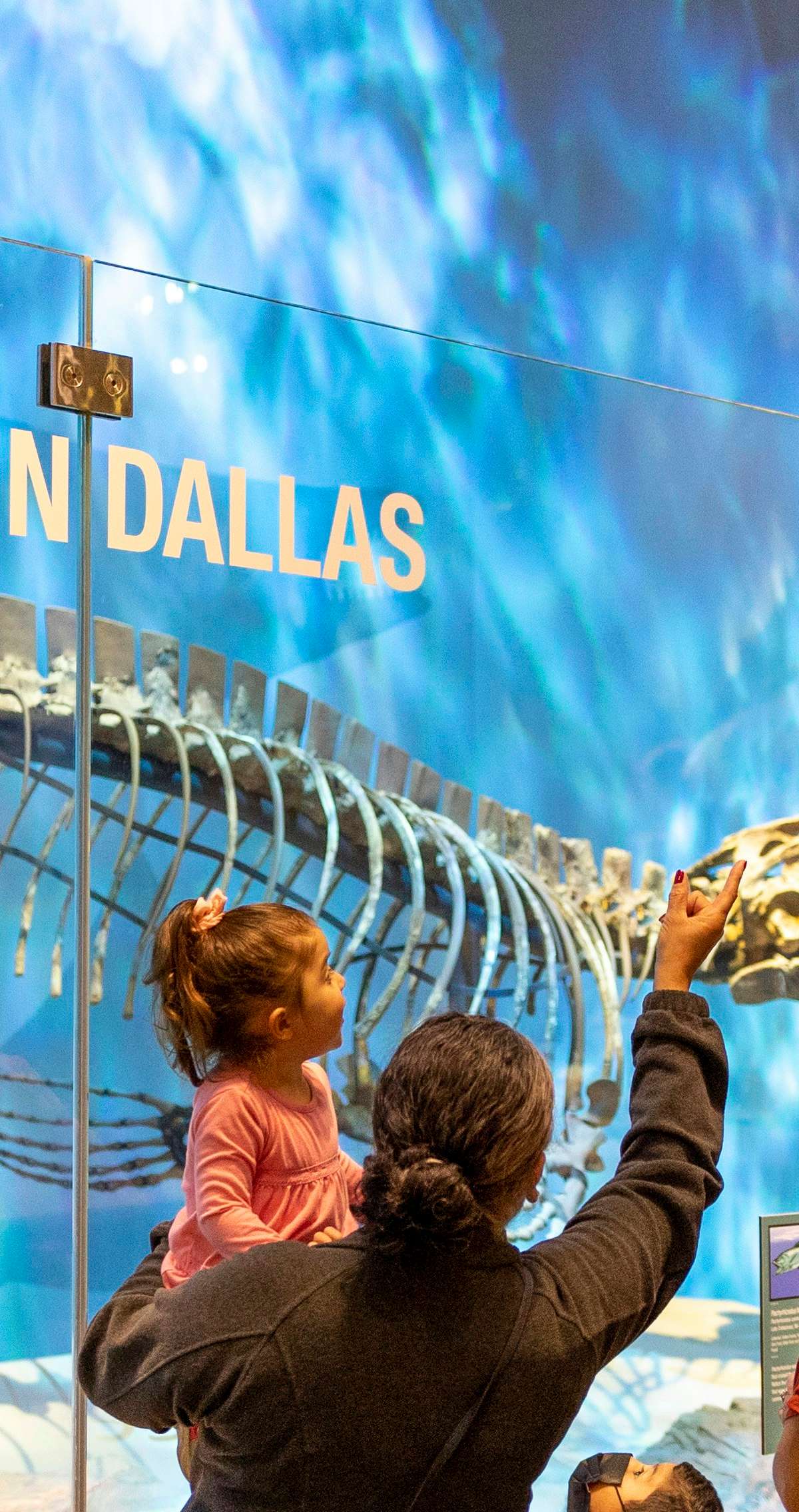 Perot Museum of Nature and Science