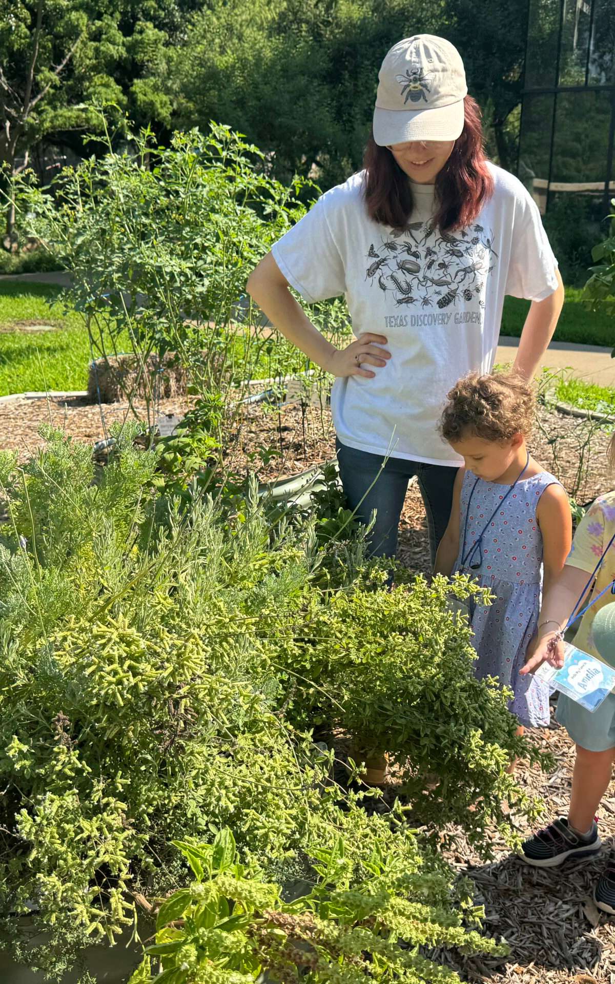 Texas Discovery Gardens