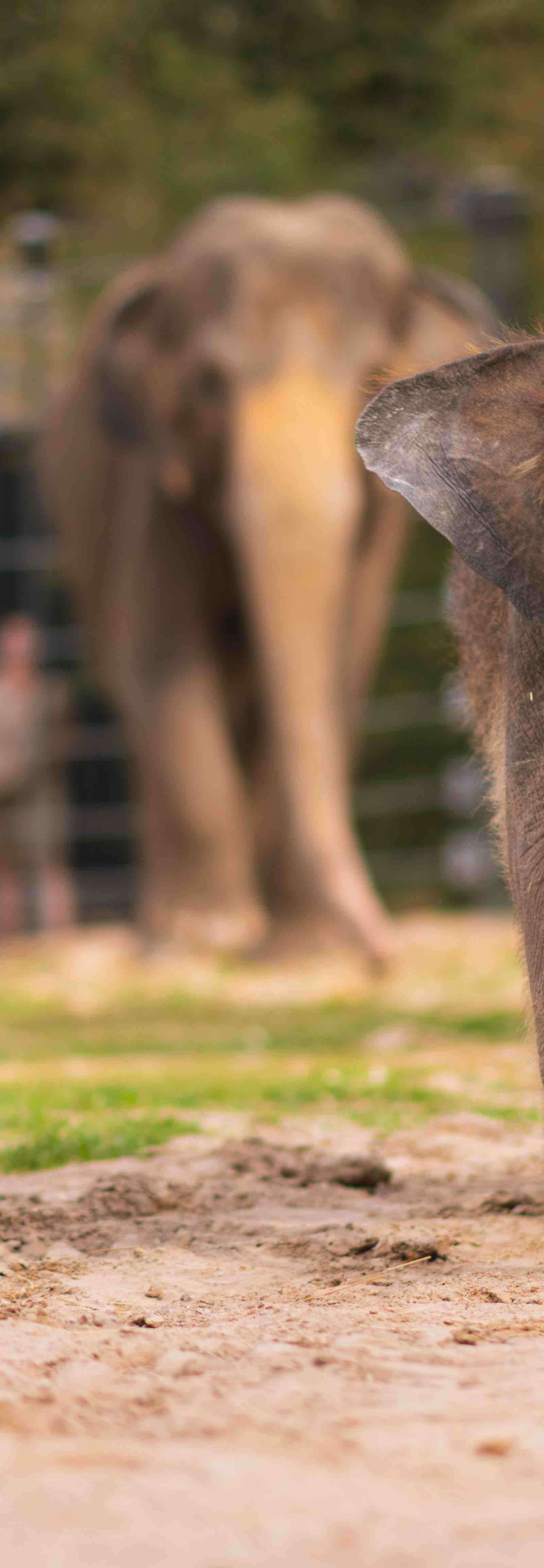 Fort Worth Zoo