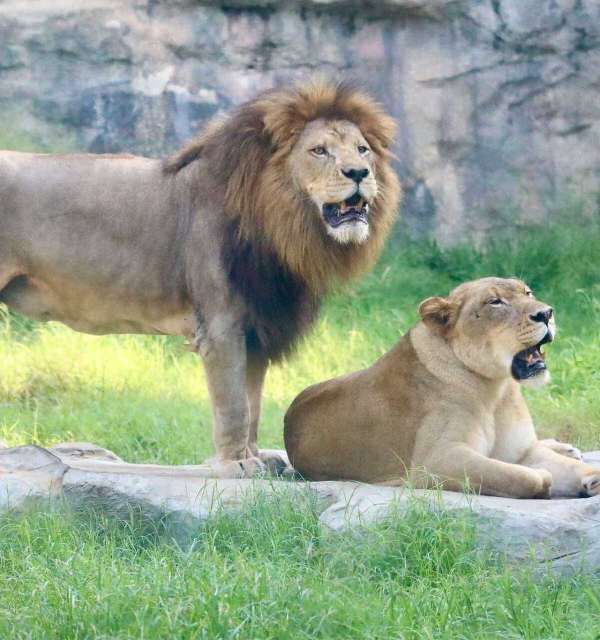 San Antonio Zoo
