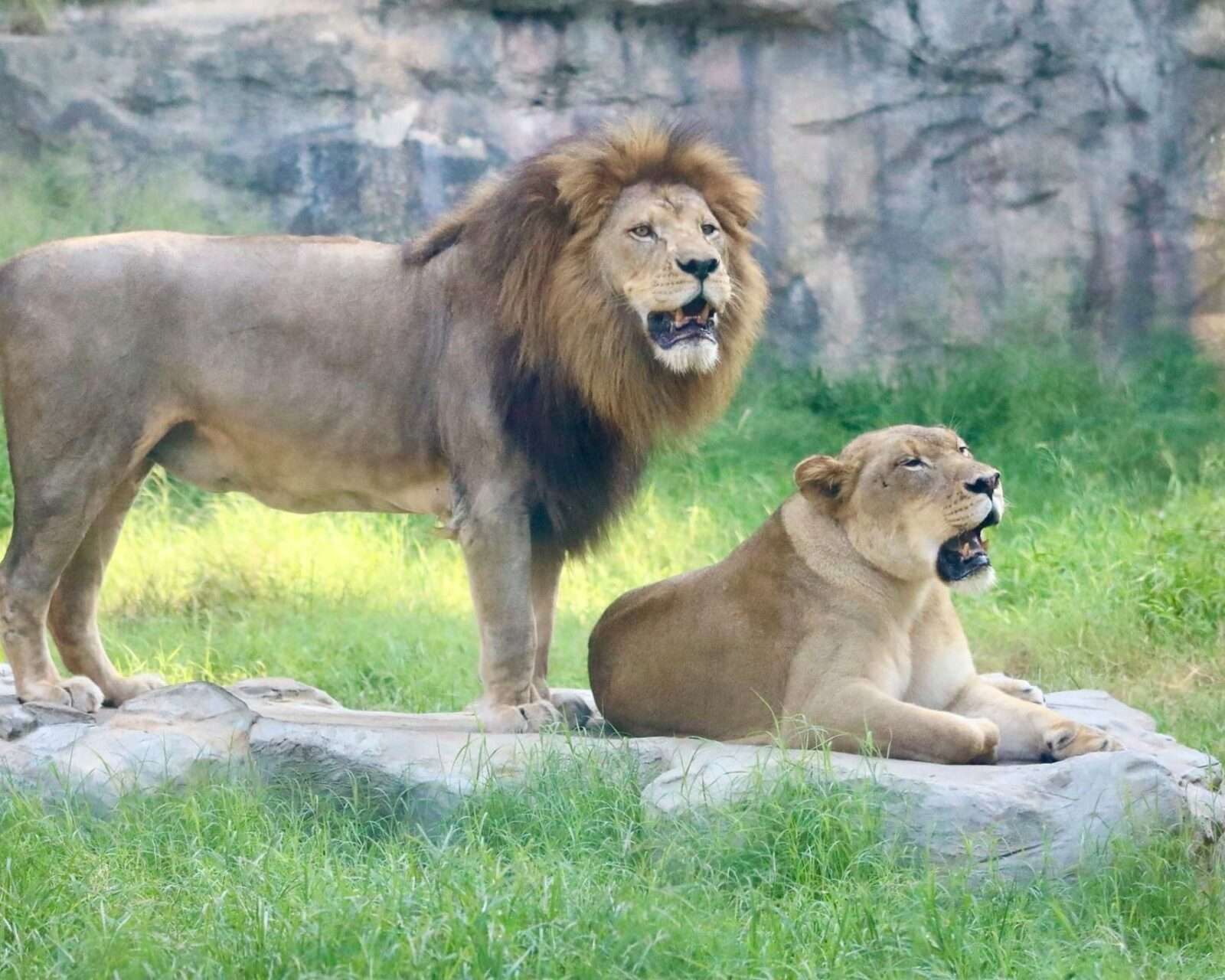 San Antonio Zoo