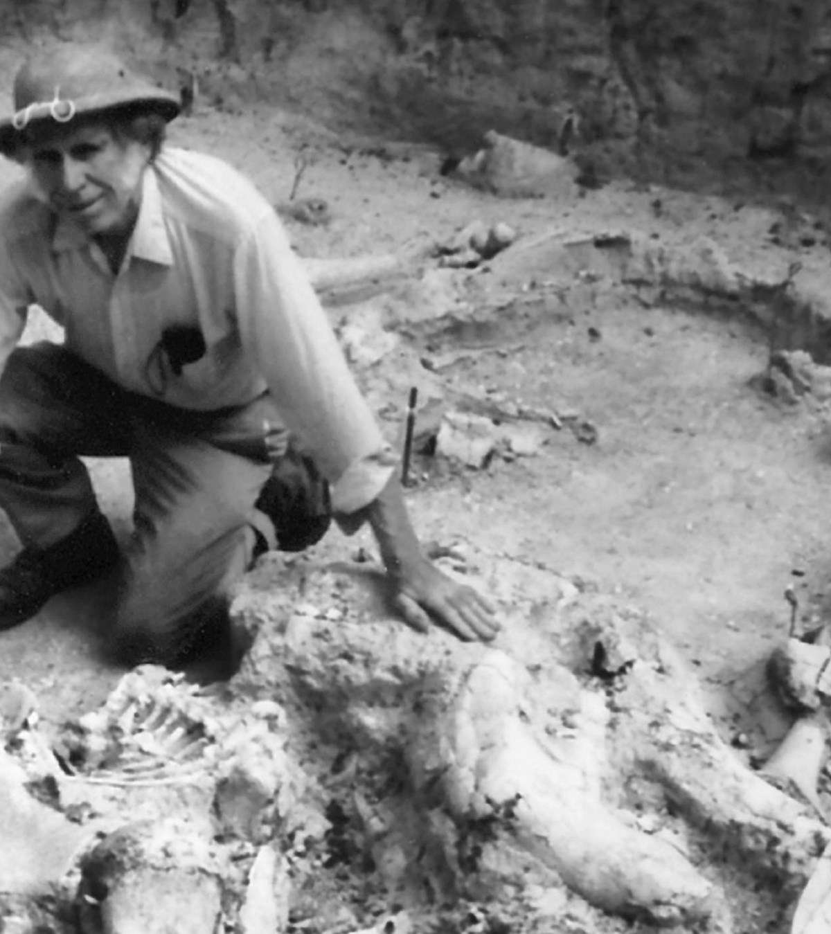 Waco Mammoth National Monument
